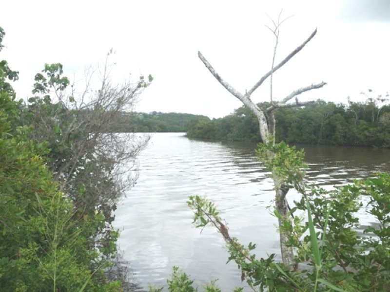 Maroochy River QLD 4561