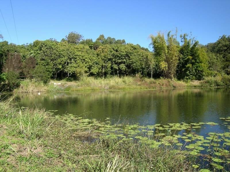 Towen Mountain QLD 4560