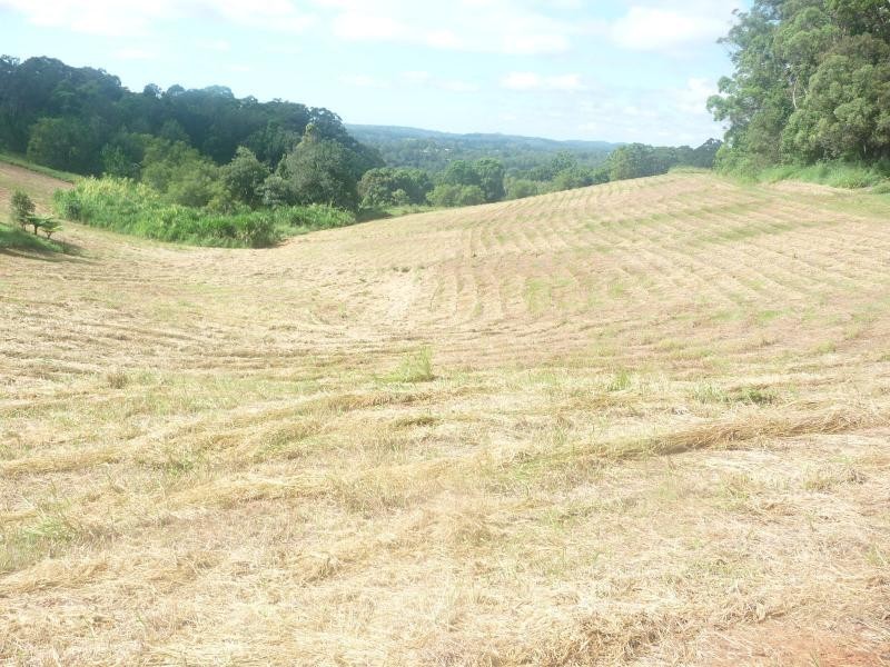 Towen Mountain QLD 4560