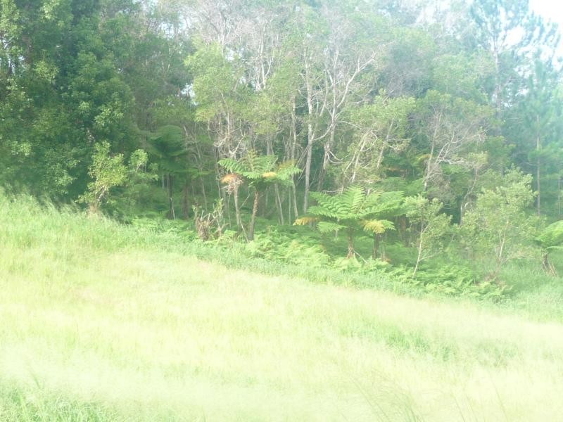 Towen Mountain QLD 4560