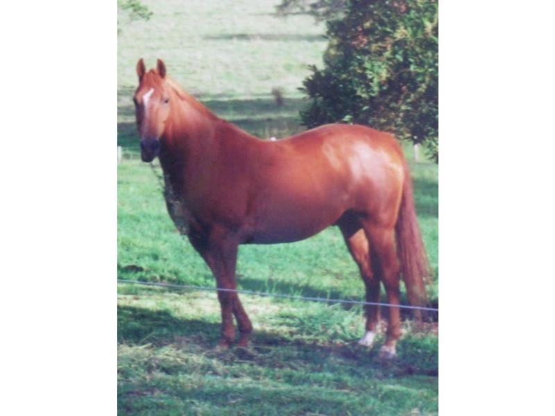Kureelpa QLD 4560