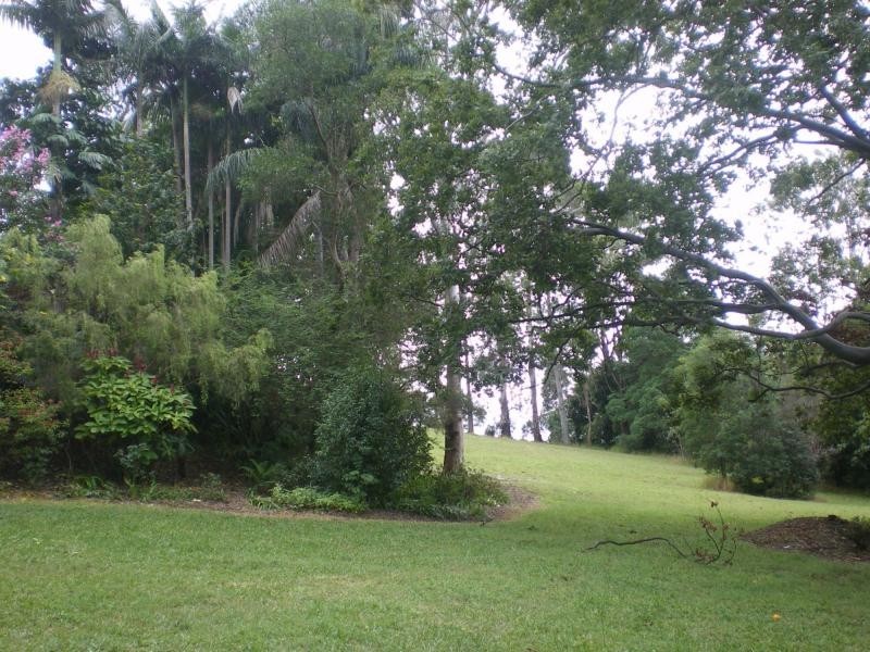 Nambour QLD 4560