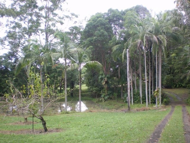 Nambour QLD 4560