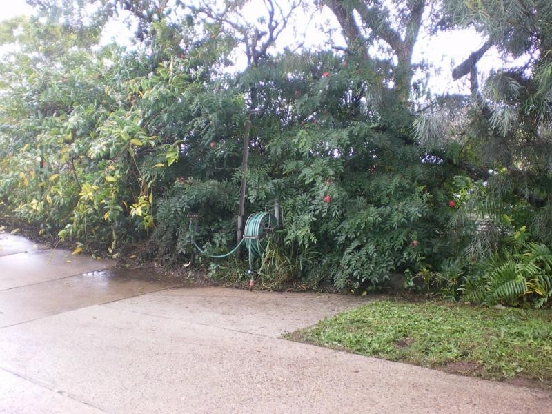 Burnside QLD 4560