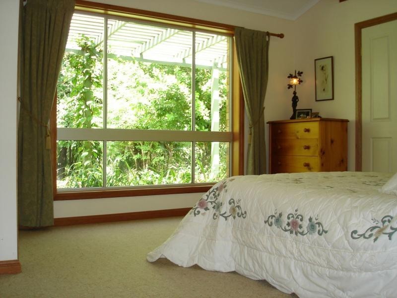 Nambour QLD 4560