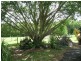 North Arm QLD 4561