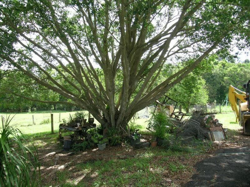 North Arm QLD 4561