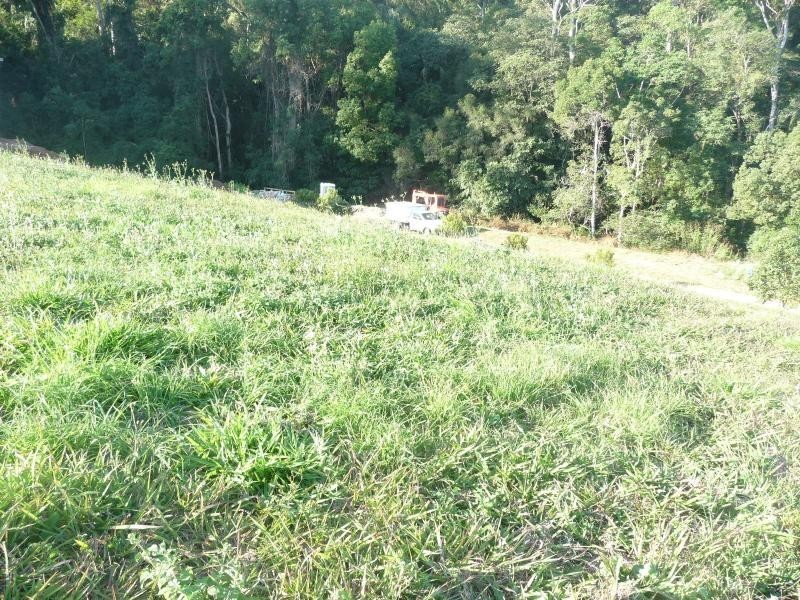 Woombye QLD 4559