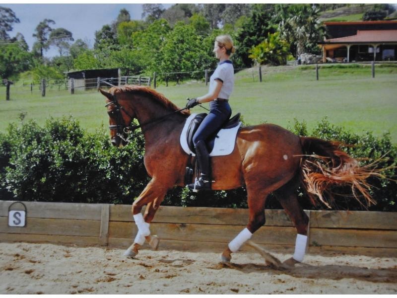 West Woombye QLD 4559