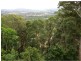Yandina QLD 4561