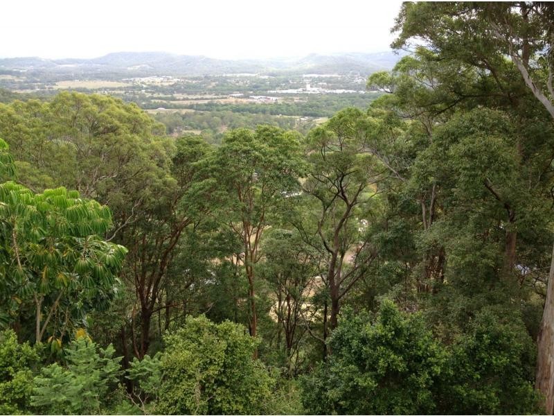 Yandina QLD 4561