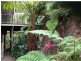 Yandina QLD 4561