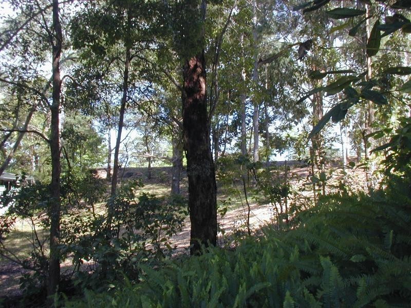 Nambour QLD 4560