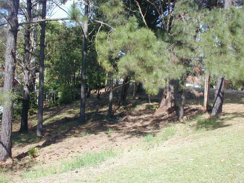 Nambour QLD 4560