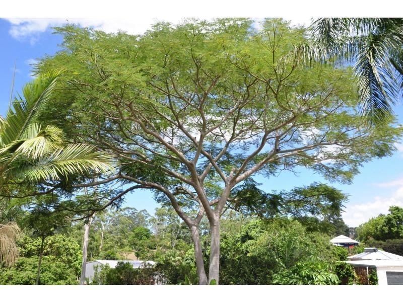 West Woombye QLD 4559