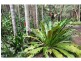Palmwoods QLD 4555