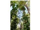 Palmwoods QLD 4555