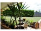 Palmwoods QLD 4555