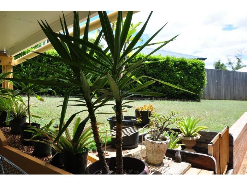 Palmwoods QLD 4555