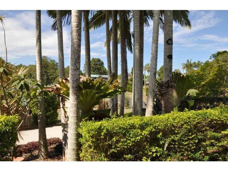 Palmwoods QLD 4555