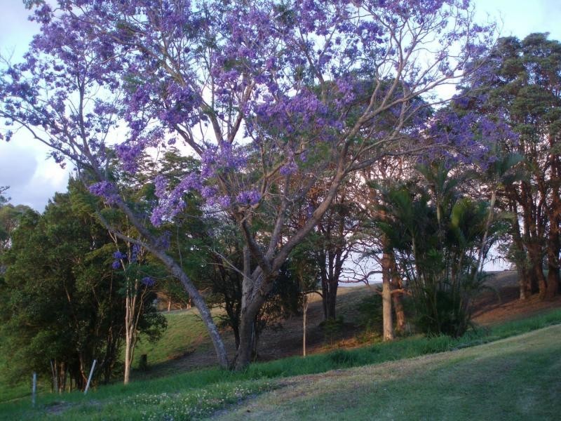 Kureelpa QLD 4560