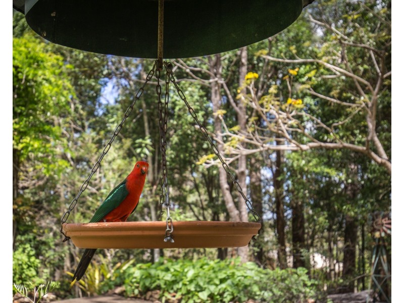 40 Image Flat Rd, Nambour QLD 4560