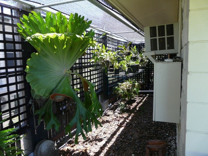Ayr QLD 4807