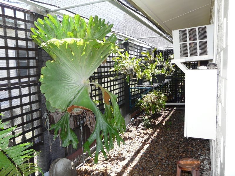Ayr QLD 4807
