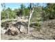 45 CASTORINA Drive, Mount Kelly QLD 4807