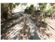 63 CASTORINA Drive, Mount Kelly QLD 4807