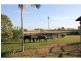 171 HODEL Road, Giru QLD 4809