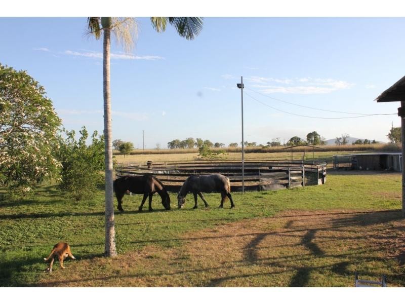 171 HODEL Road, Giru QLD 4809