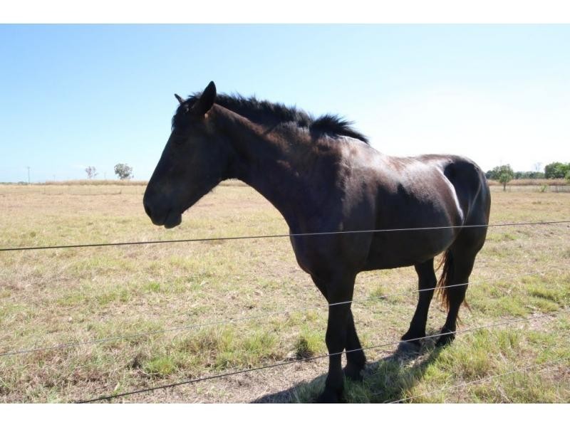 171 HODEL Road, Giru QLD 4809