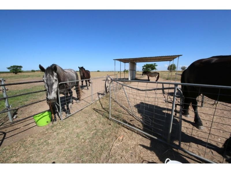 171 HODEL Road, Giru QLD 4809