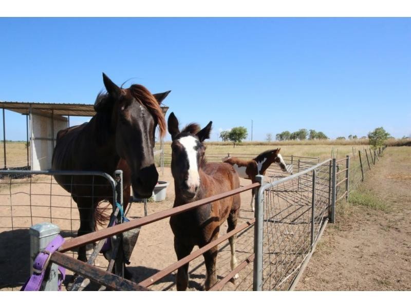 171 HODEL Road, Giru QLD 4809