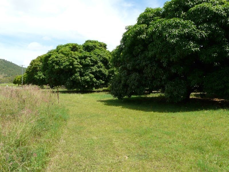 417 MOUNT ALMA Road, Inkerman QLD 4806