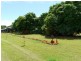 417 MOUNT ALMA Road, Inkerman QLD 4806