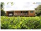 493 KILRIE ROAD, Jarvisfield QLD 4807