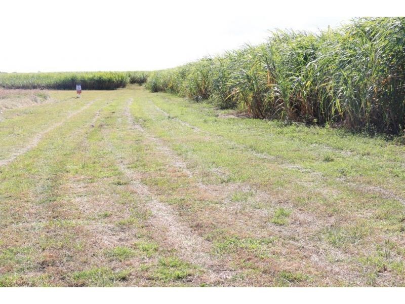 241 BURDEKIN ROAD, Home Hill QLD 4806