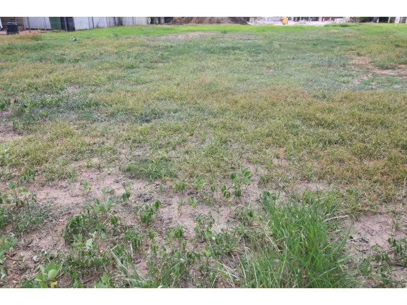 51 BEACH Road, Ayr QLD 4807