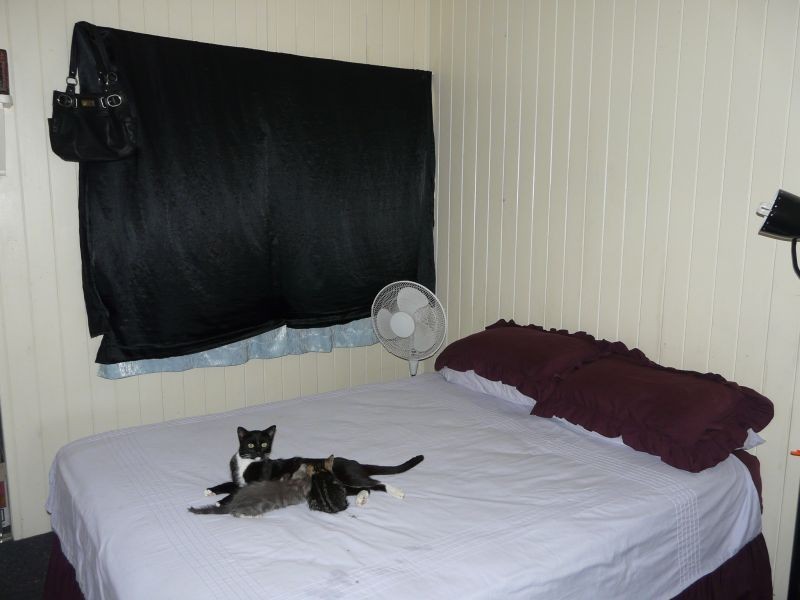 26 Munro Street, Ayr QLD 4807