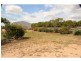 135 MOUNT KELLY Drive, Mount Kelly QLD 4807