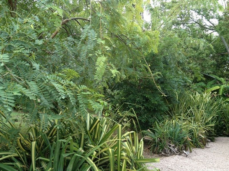 49-51 TOPTON Street, Alva QLD 4807