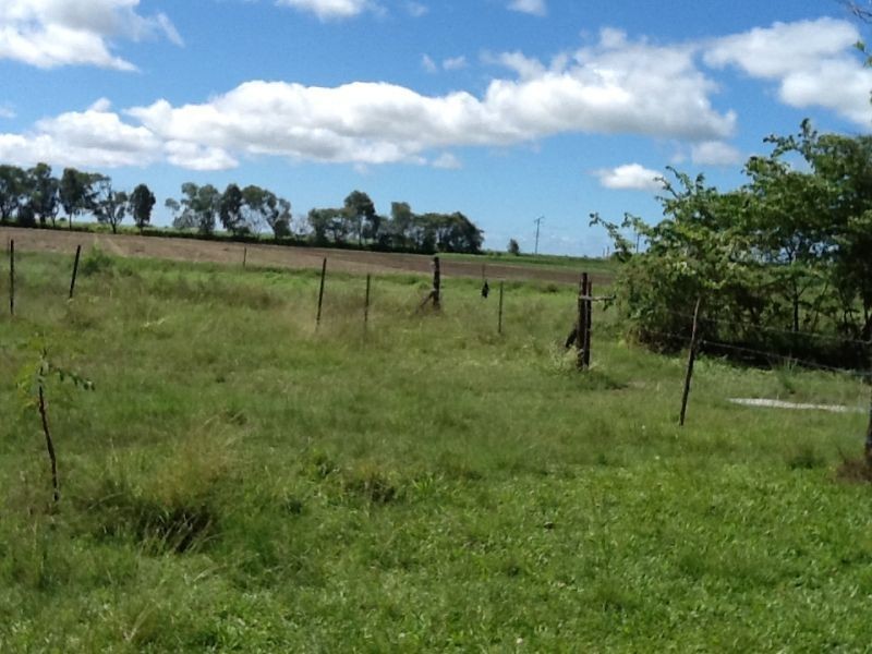 207 TAPIOLAS Road, Brandon QLD 4808