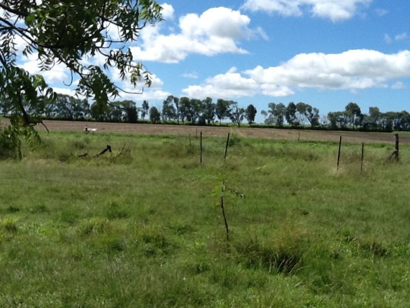 207 TAPIOLAS Road, Brandon QLD 4808