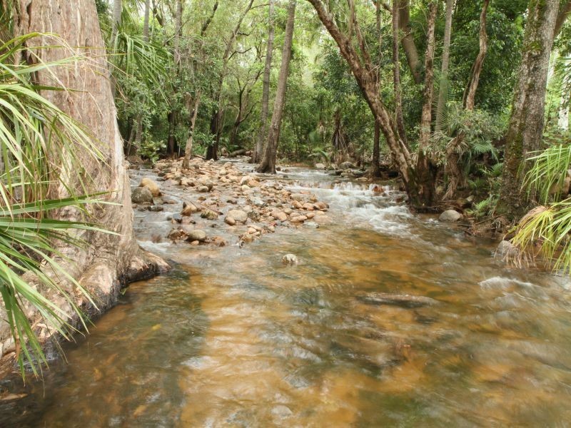 1046 WOODSTOCK GIRU Road, Mount Surround QLD 4809