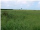127 BARTLETT Road, Horseshoe Lagoon QLD 4809