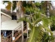 19 WICKHAM Street, Ayr QLD 4807