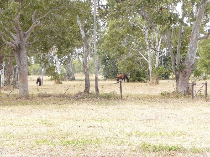 270 WILSON Road, Jarvisfield QLD 4807
