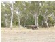 270 WILSON Road, Jarvisfield QLD 4807